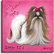It's All About Me, a poster style painting from painter Janet Kruskamp. A bright pink background helps this long haired Shih Tzu stand out. White and dark brown with the hair on the top in a red bow, this dog is impeccably groomed and ready for it's closeup. Script words It's All About Me sit at an angle in the upper left corner of this square painting, and the words SHIT TZU sit on the lower left. Another original acrylic painting for sale, directly from the artist, Janet Kruskamp.