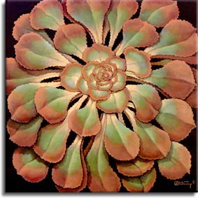Janet Kruskamp's Paintings - Succulent II, a painting of a beautiful green and brown succulent, shiny and plump. The broad green leaves with reddish-brown tips radiate out in a layered pattern, larger leaves ringing the outside of the plant. One of the Still Life Gallery of original oil paintings or  original paintings by the artist, Janet Kruskamp